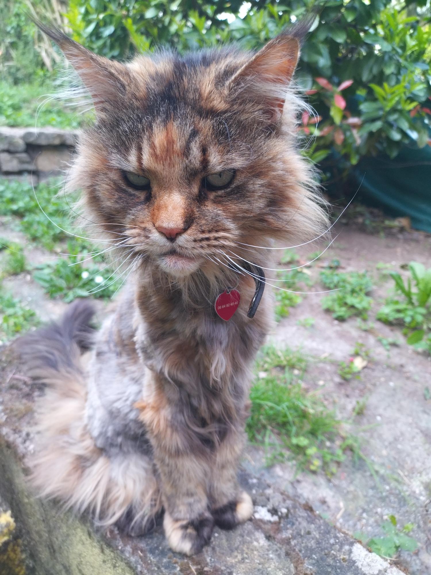 Craquotte, discrète puis pleine de tendresse